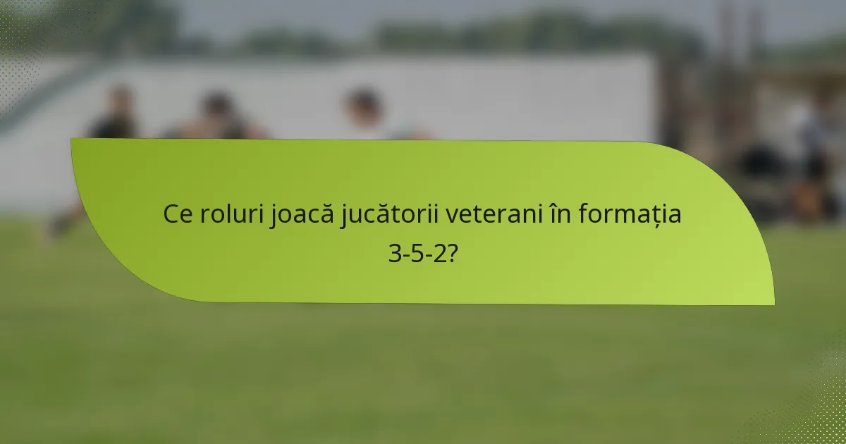 Ce roluri joacă jucătorii veterani în formația 3-5-2?